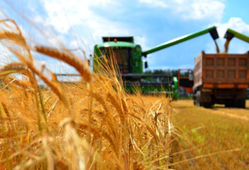 Қазақстан Қытайға ауыл шаруашылығы өнімдерін жеткізу әлеуетін кеңейтеді