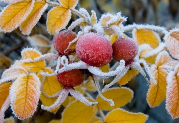 16 қыркүйекке арналған ауа райы болжамы