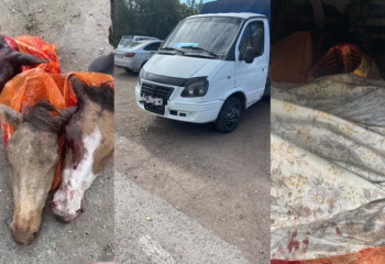 Қарағанды полицейлері 6 бас жылқы етін тасымалдаған барымташыны ұстады