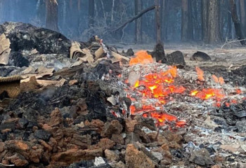 Қостанайдағы өрт: «Қазақстан халқына» қоры зардап шеккендердің үй жабдығын әпереді
