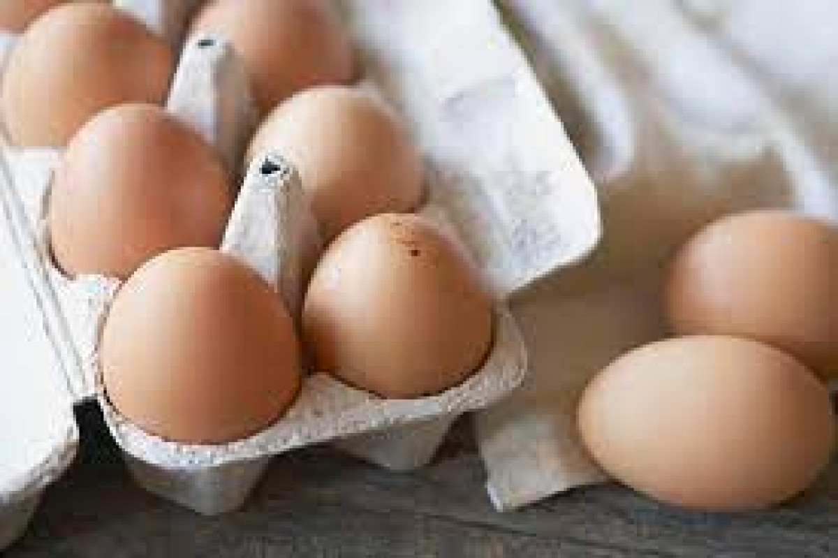 34 тенге за штуку: птицефабрики реализуют яйца по фиксированной цене