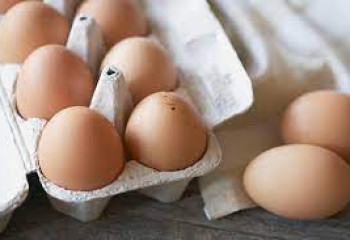 34 тенге за штуку: птицефабрики реализуют яйца по фиксированной цене