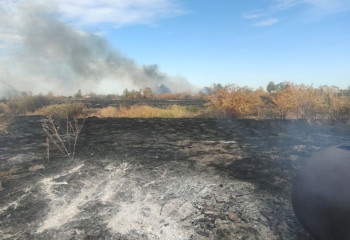 Пригородные дачи Костаная спасают от огня