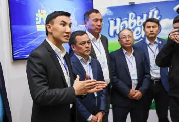 Запустить производство сыров планируется в Костанайской области 