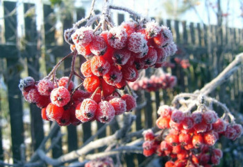 20 қыркүйекке арналған ауа райы болжамы