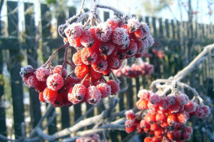  ашық дереккөзден 