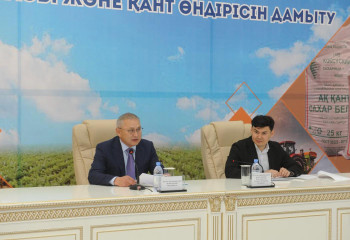 Субсидии на выращивание сахарной свеклы увеличатся в Казахстане