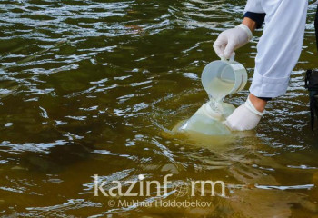 Фенол обнаружили в пробах воды из Урала в Атырау
