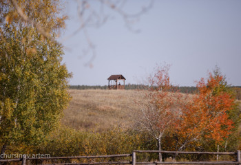 «Бурабай» ұлттық паркінде 1500 бас жабайы бұғы бар 