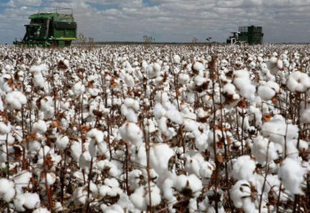 Әкім: Бірден айтайын, біз - халық жағындамыз