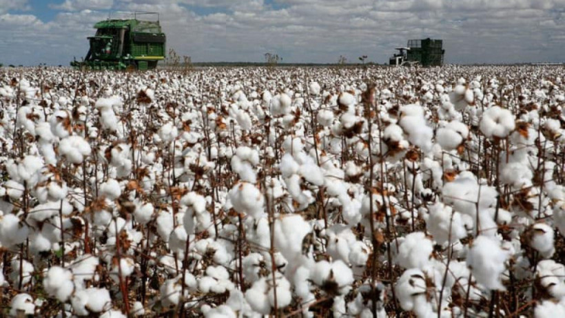  ашық дереккөзден 