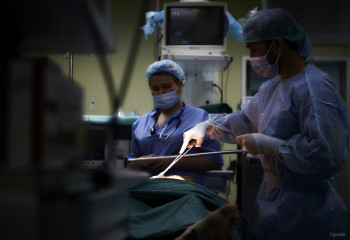 Елімізде трансплантация туралы жаңа заң қабылдануы мүмкін