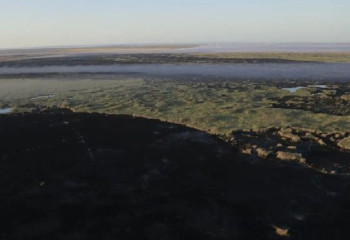 Каспий теңізінің жағалауындағы қамыс өрті толығымен өшірілді