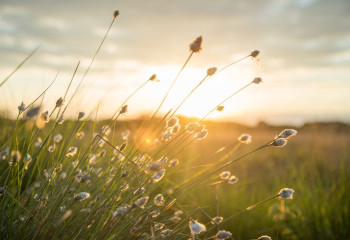 В 12 регионах Казахстана объявлено штормовое предупреждение