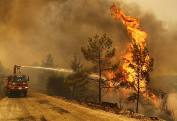  Көкжайлау шатқалындағы өрт сөндірілді