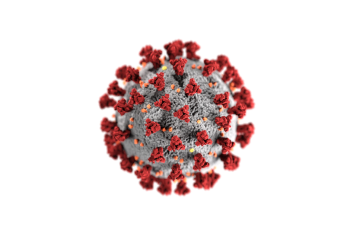 41 человек заболел, 880 выздоровели от коронавируса в стране