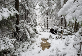 Еліміздің бес өңірінде қар жауады