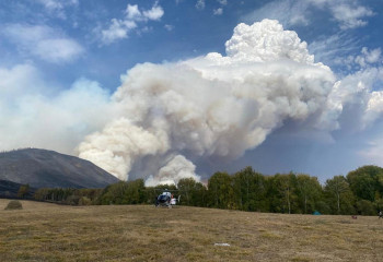 В ВКО началось служебное расследование крупных лесных пожаров