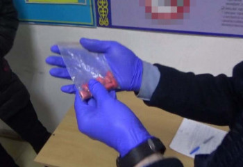 Қарағанды облысында арнайы мекемелерге есірткі кіргізгендер анықталды