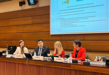 Issues of combating domestic violence against women and girls discussed in Geneva
