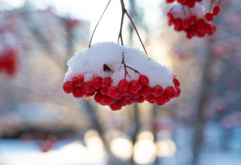 Алдағы үш күнде ауа-райы қандай болады?