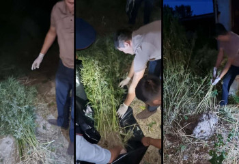 Свыше 7 кг конопли вырастил дома житель Риддера 