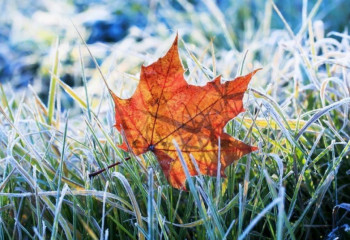 1 қазанға арналған ауа райы болжамы