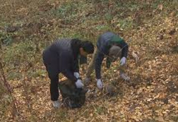 Полтонны мусора собрали экоактивисты в урочище Кок Жайляу 