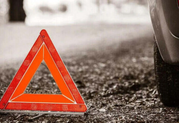 Жамбыл облысында жеңіл көлік жылқыға соғылды: адам шығыны бар