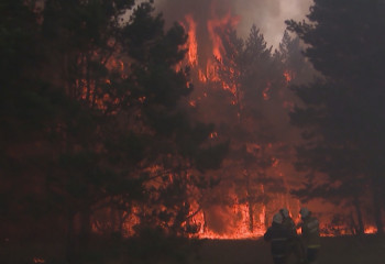 Ущерб от пожаров в Казахстане составил 19 миллиардов тенге