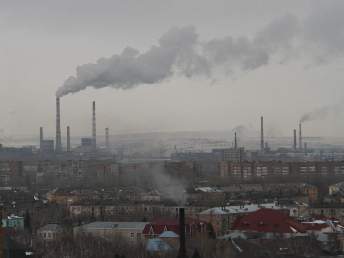 Химический ожог горла предлагают сделать официальным диагнозом в Усть-Каменогорске