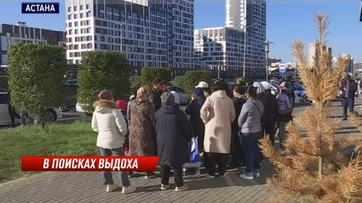  кадр из видео 