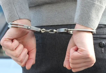 АҚШ-тан ірі көлемде есірткі тасымалдаған алматылықтар ұсталды