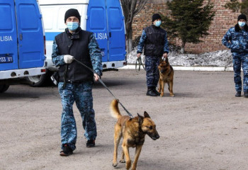 Қызметтік иттер 82 қылмыстың ашылуына ықпал етті
