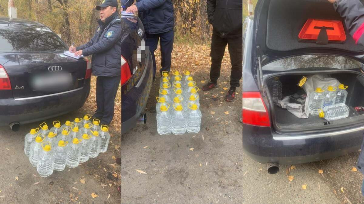  Polisia.kz 