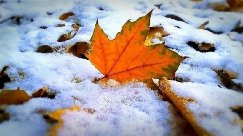  ашық дереккөзден 