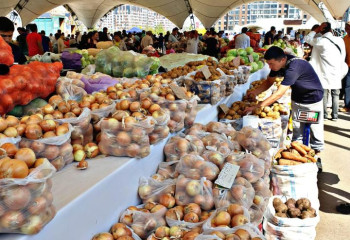 Солтүстік Қазақстан және Ақтөбе облыстары өз өнімдерін елордадағы жәрмеңкеде ұсынады