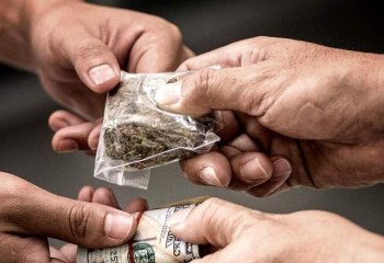 Жыл басынан бері Астанада 34 келі синтетикалық есірткі тәркіленген