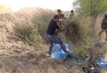 Шу тұрғынынан 38 келіден астам есірткі тәркіленді 