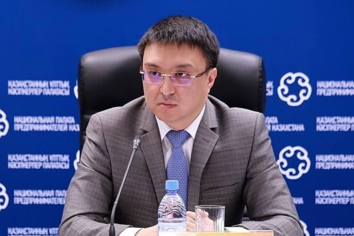 Нуржан Альтаев подал документы в ЦИК