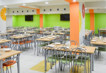 Отравление школьников Павлодарской области: директору и учителям объявили выговор