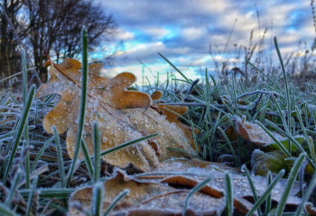 9 қазанға арналған ауа райы болжамы