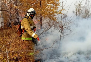 ШҚО-да өрттердің негізгі бөлігі тежелді