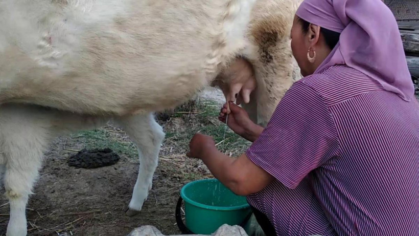  ашық дереккөзден 