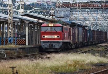 Выросла стоимость перевозки грузов в Казахстане 