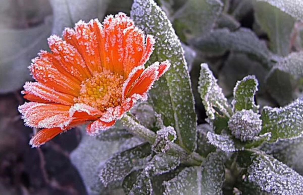  ашық дереккөзден 