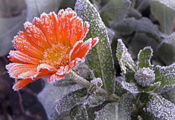 12 қазанға арналған ауа райы болжамы