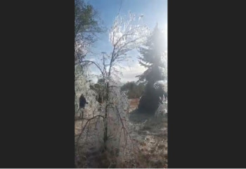 Назарбаев саябағындағы 