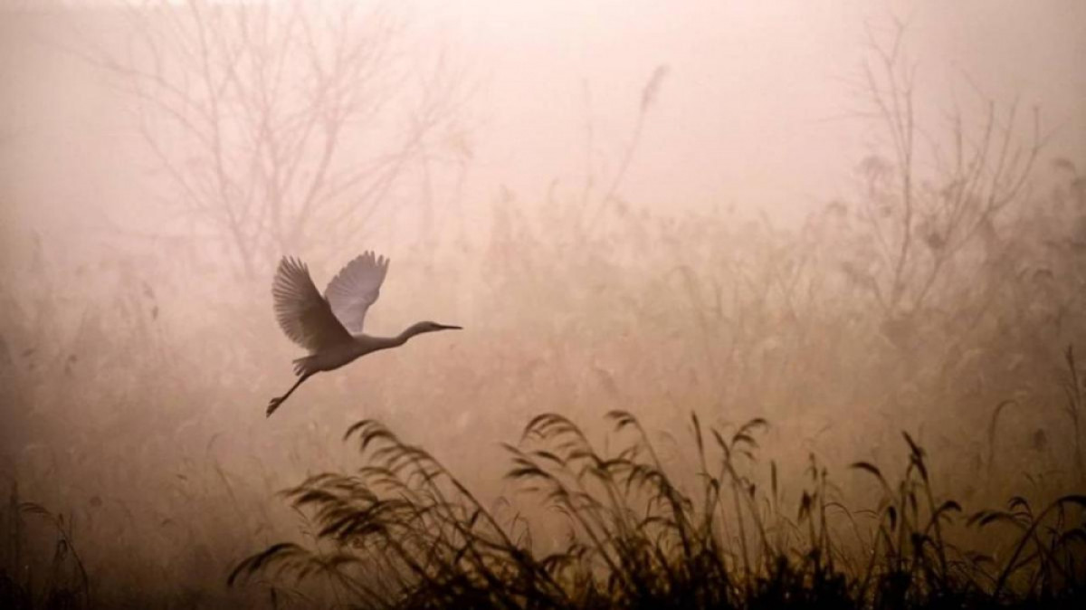  ашық дереккөзден 