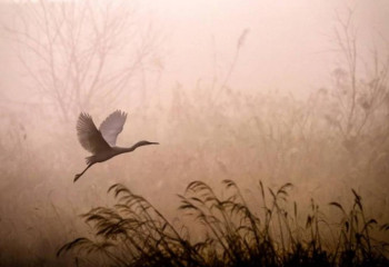 14 қазанға арналған ауа райы болжамы